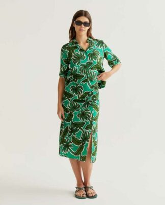 FALDA PALM TREE